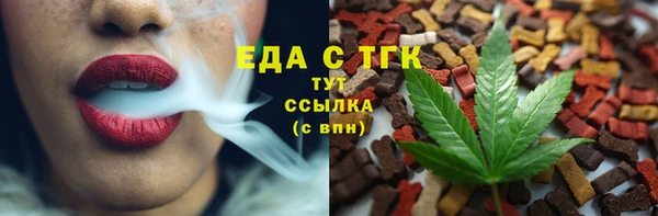 дмт Богданович