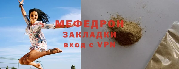 дмт Богданович