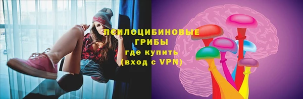 mix Белокуриха