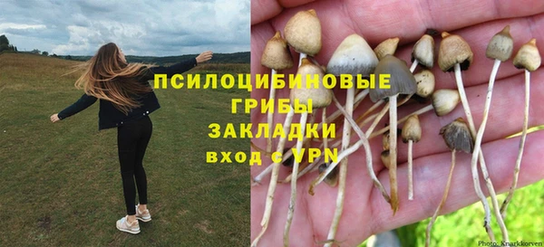 дмт Богданович