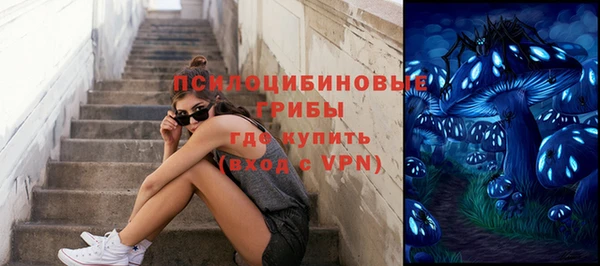 дмт Богданович