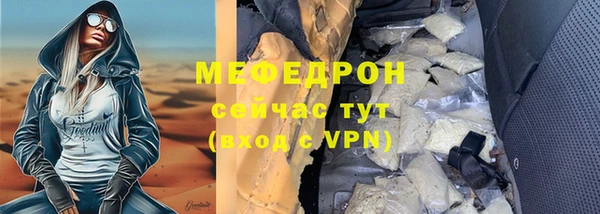 дмт Богданович