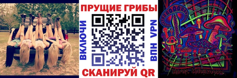 Псилоцибиновые грибы мицелий  ссылка на мегу tor  Нерюнгри 